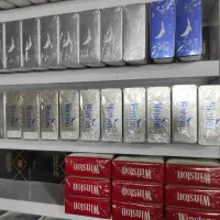 بازاریاب ویزیتور
