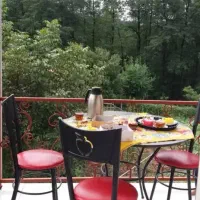 اجاره ویلا جنگلی لفور دوخوابه دربست بابل شیرگاه