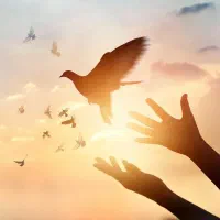 شروعی دوباره برای سلامتی و آرامش زندگی
