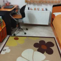 تخت ومیز تحریر