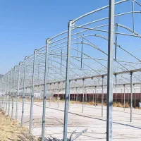 گلخانه ۲۵۰۰ متری