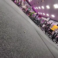 باشگاه بدنسازی پلاتو|تجهیزات ورزشی|شاهینشهر, فدک|دیوار