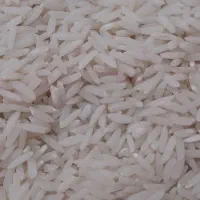 برنج هاشمی مغان