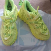 کتونی|کیف، کفش، کمربند|دوگنبدان, |دیوار