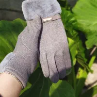 دستکش خزدار|لباس|رشت, کوی یخ|دیوار