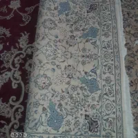 قالی محلی|فرش|شیراز, لاله|دیوار