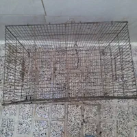 قفس پرنده