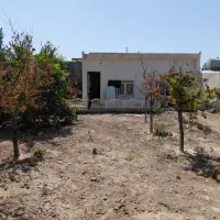 باغچه-تازه-ساخت