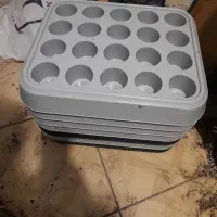 سینی جالیوانی