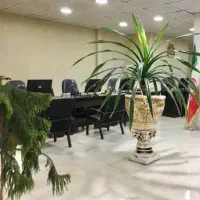 مشاور املاک