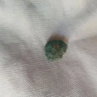 نگین فیروزه با رگه طلافروش فوری|جواهرات|بم, |دیوار