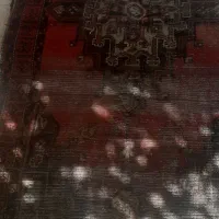 قالیچه دست باف|گلیم، جاجیم، گبه|نیشابور, مازول|دیوار