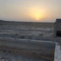 ۵۰ من (۵۰۰۰ متر) زمین پسته لوله کشی شده با آب|فروش زمین و ملک کلنگی|گناباد, |دیوار