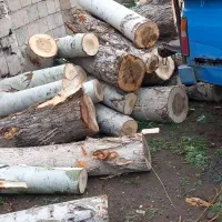 خرید و فروش چوب ترو خشک وقلمه و..|عمدهفروشی|مشگین شهر, |دیوار