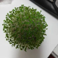 راهنمای میخوام