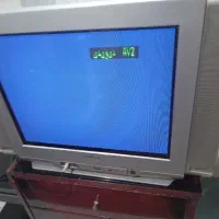 تلویزیون