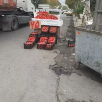 چتر سایبان ۲/۵ متری ضد آب نو ی نو|فروشگاه و مغازه|رشت, فرزانه|دیوار