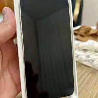 آیفون 13رنگ سفید CH|موبایل|سبزوار, کاشفی شمالی (دادگستری)|دیوار