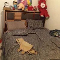 سرویس خواب دونفره|تخت و سرویس خواب|باغستان, |دیوار