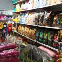 فروشنده پت شاپ