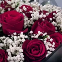 گل ابدی|گل مصنوعی|نقده, |دیوار