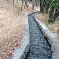 خرید انواع چوب