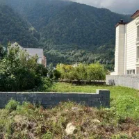 305مترزمین-شهرکی-سنددار-تنکابن-چشم-اندازجنگل