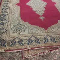 قالی کرمانی دستباف|فرش|کرمان, |دیوار