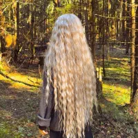 صادر کننده ی مو  با بالاترین قیمت