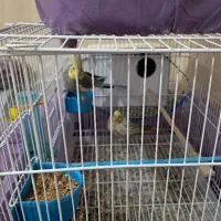 استان خوزستان