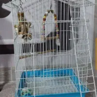 قفس پرنده