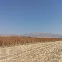 جارو کشاورزی عمده|عمده‌فروشی|نهاوند, |دیوار