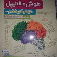 کتاب هوش مالتیپل ششم به هفتم