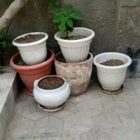 گلدان.