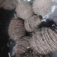 سیم خاردار سالم|ابزارآلات|سبزوار, قصبه غربی|دیوار