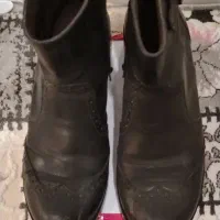 کفش|کیف، کفش، کمربند|بوشهر, |دیوار