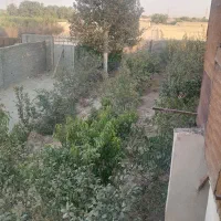 ۷۵۰متر چهاردیواری دهشاد شهریار الورد کبودین بنادار|فروش دفتر صنعتی، کشاورزی، تجاری|شهریار, دهشاد بالا|دیوار