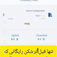 1/15|فرش|قلعه چای, |دیوار