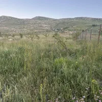 زمین بر خیابان قره خاچ