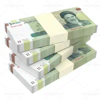 ۳ میلیون پول قرض میخواستم خیلی واجبه