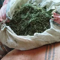 ۷۰۰ کیلو یونجه(۵۰۰کیلو گل و چوب و ۲۰۰ کیلو گل)