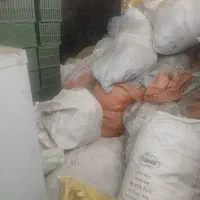 نیازمند نیروی کار اتباع