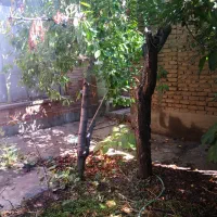 تسوج فروش خانه کلنگی|فروش خانه و ویلا|تسوج, |دیوار