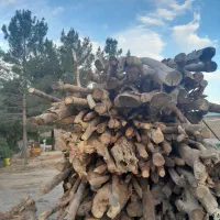 خرید انواع درخت وچوب و هرس|خدمات باغبانی و درختکاری|گلپایگان, |دیوار