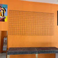 رگال دست دوم|کتابخانه، شلف، قفسههای دیواری|اصفهان, باغ زرشک|دیوار