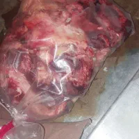 اشغال گوساله و اسکلت مرغ تمیز شده