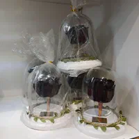 گل رز جاودان|گل و گیاه طبیعی|قم, باجک یک|دیوار