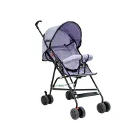 کالسکه عصایی