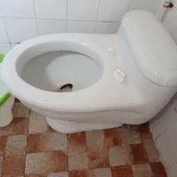 توالت فرنگی