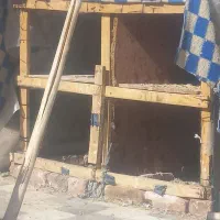 جفتگاه چهارتای